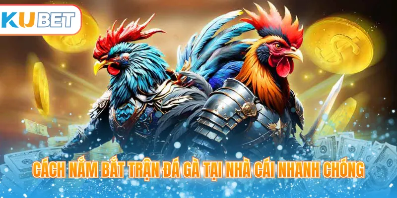 Cách nắm bắt trận đá gà tại nhà cái nhanh chóng