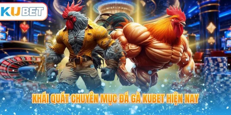 Khái quát chuyên mục đá gà Kubet hiện nay